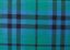 Picture of Austin Ancient Tartan