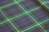 Gordon Tartan Fabric